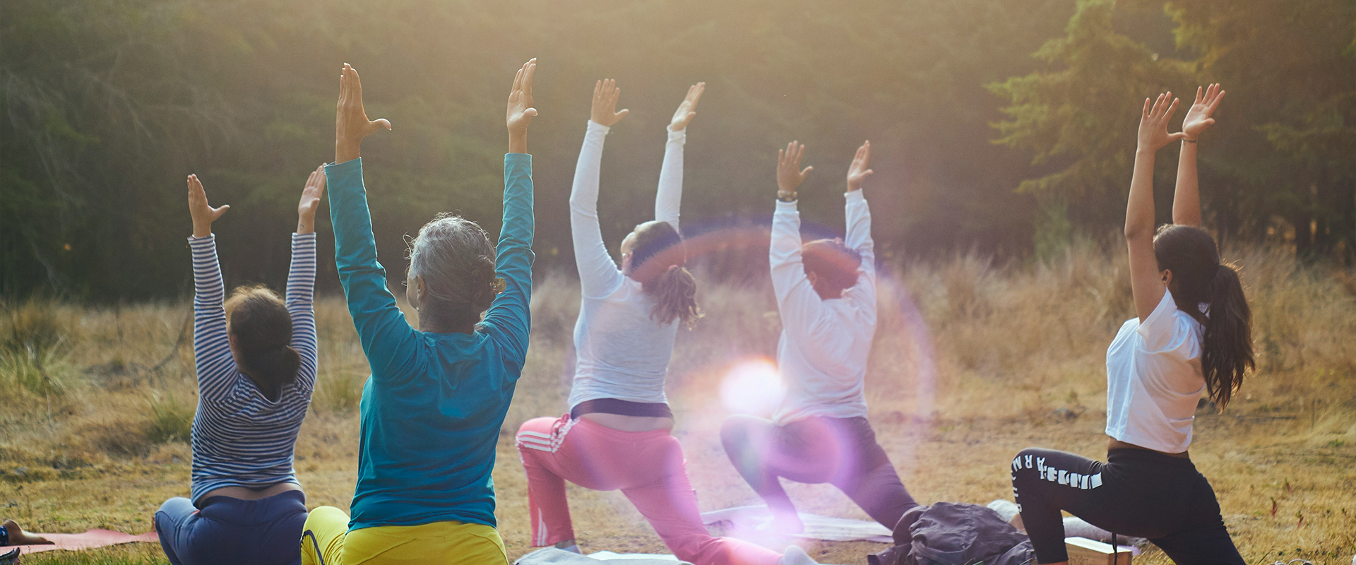 Yoga/Yoga Wear/Legging/Pants/Bra