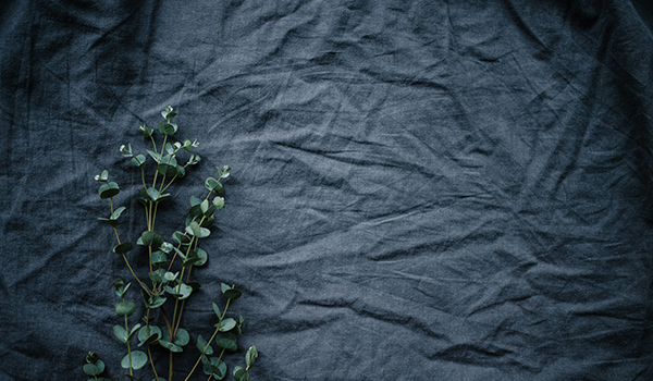 ​​Sustainability​​