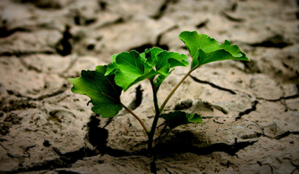 Sustainability Focus​​